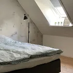 Cozy Big *