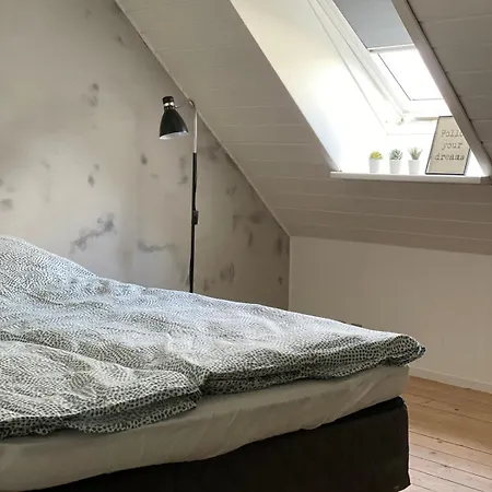 Cozy Big *