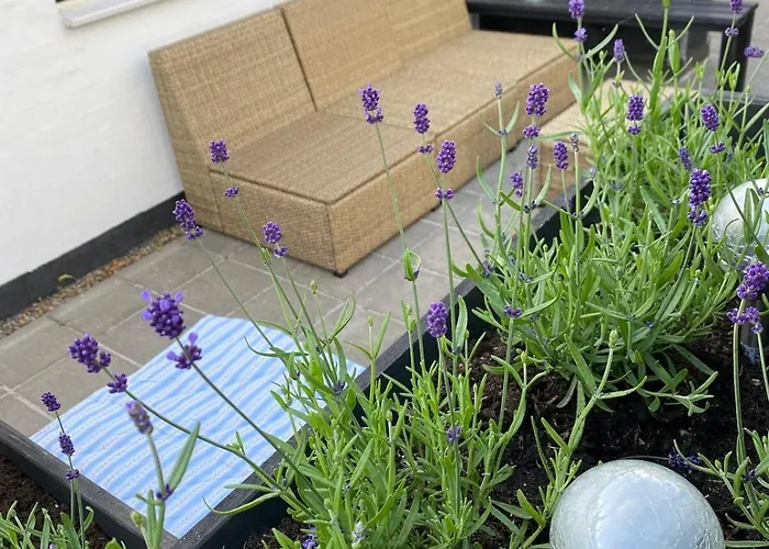 Cozy Big ブロックフス