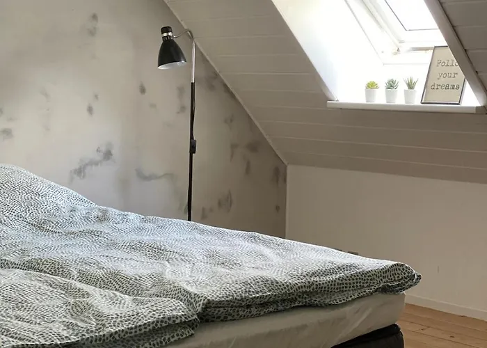 Cozy Big *