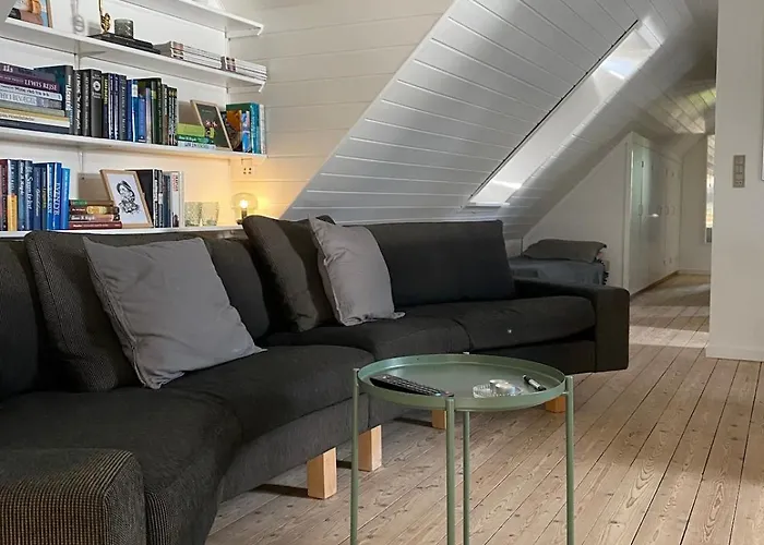 Cozy Big *
