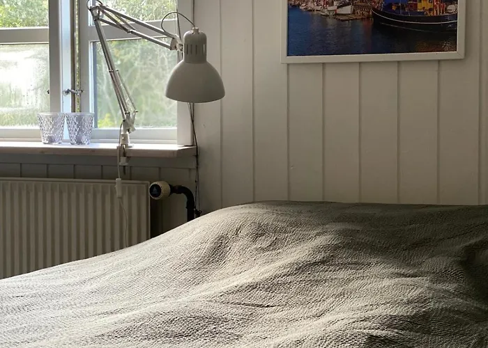 Cozy Big